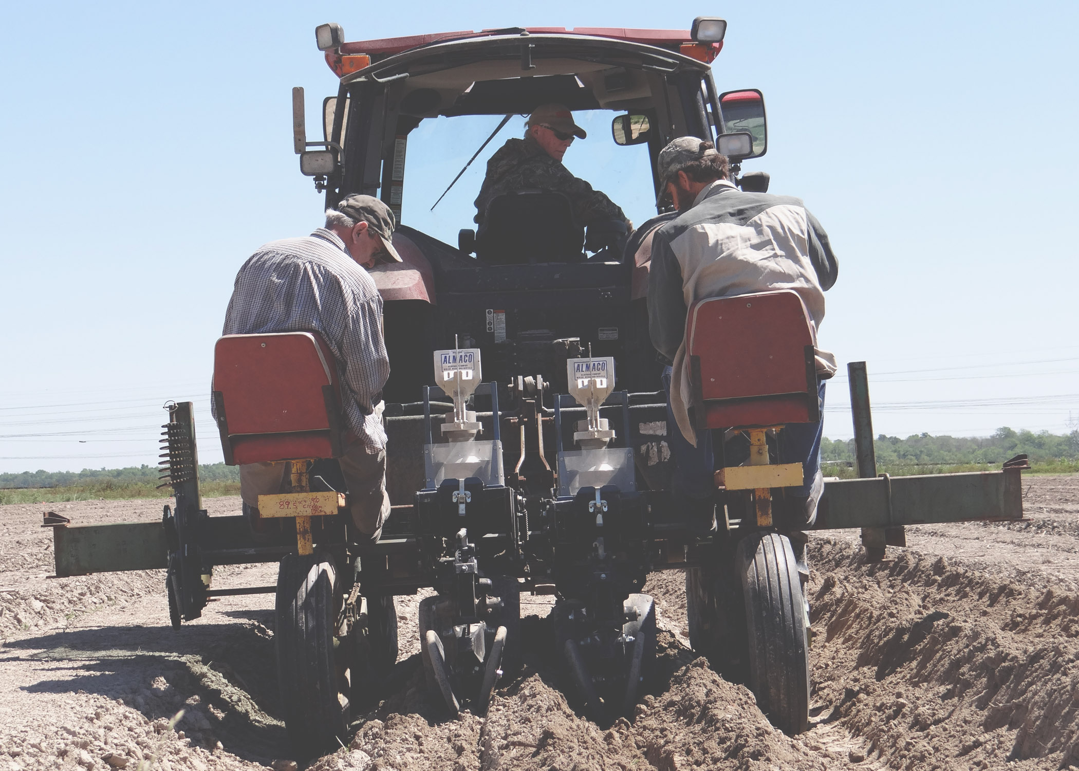 AgCenter researchers get grant to study cover crops in energy cane